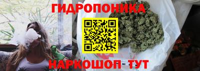 сатива Тара