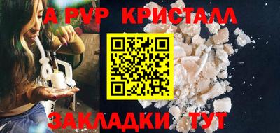 шишки Тверь
