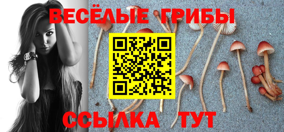 Псилоцибиновые грибы прущие грибы Волгодонск